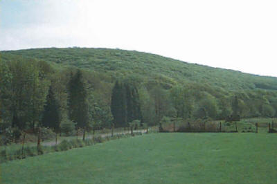 Coniferous and deciduous woodland - The Ogmore Valley